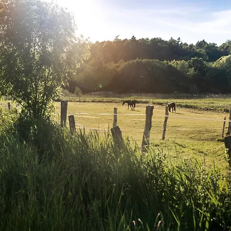 De Ole School Ferienapartments Maisonette-apartment 13 , Huus Brekers Διαμέρισμα *